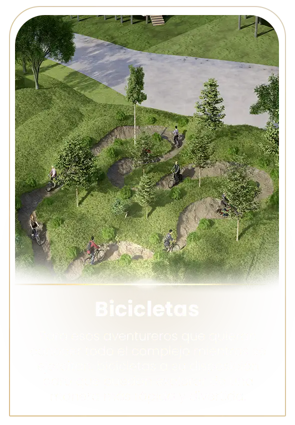 Bicicletas